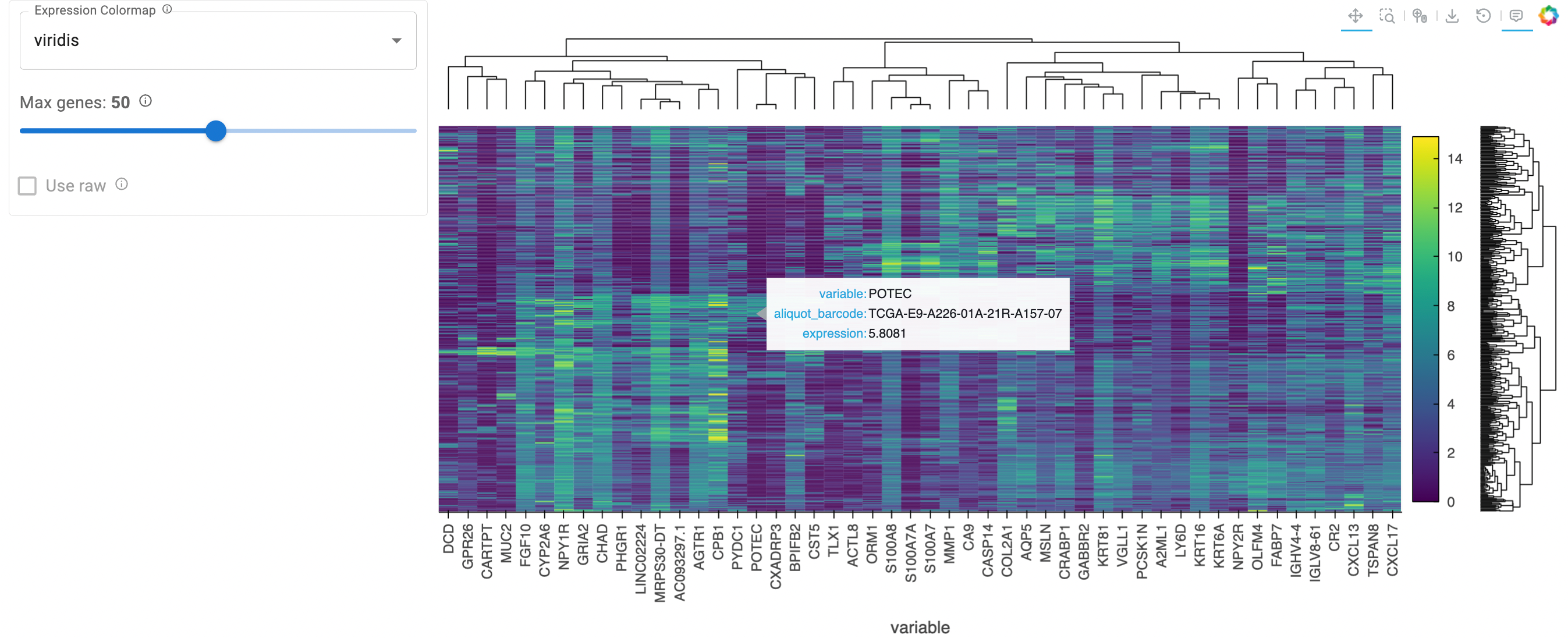 Clustered heatmap of differentially expressed genes