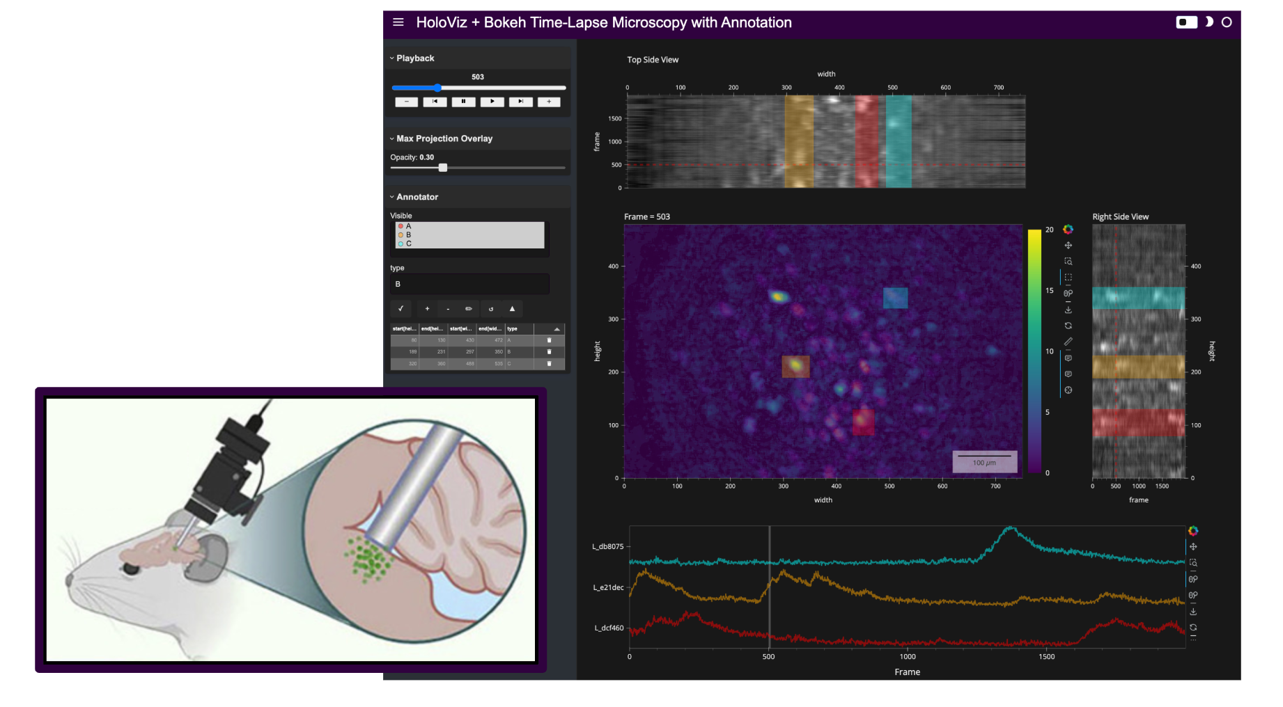 Time-Lapse Microscopy header